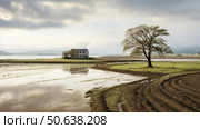 submerged flood water ai generated. Стоковое AI-изображение, AI-художник Vectorwin / Фотобанк Лори
