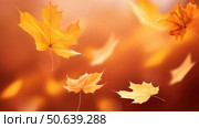 flurry dark orange background ai generated. Стоковое AI-изображение, AI-художник Vectorwin / Фотобанк Лори