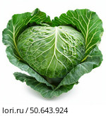 Fresh green savoy cabbage with leaves on white background. Стоковое AI-изображение, AI-художник Иван Рябоконь / Фотобанк Лори