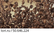 Fragrant coffee beans soar in the frame. Coffee beans shot on super slow motion camera 1000 fps. Стоковое видео, видеограф Андрей Армягов / Фотобанк Лори