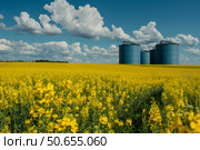 Four blue metal grain silos rising above a blooming canola field under a cloudy sky. Стоковое AI-изображение, AI-художник Иван Рябоконь / Фотобанк Лори