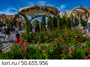 The photograph shows a fragrant blooming rose garden in the historical and cultural complex "New Chersonesus" in Sevastopol. In the foreground are lushly blooming pink and scarlet roses, framed by well-groomed greenery. In the background are decorative arches entwined with fresh flowers, creating a festive atmosphere. Visitors - families, children, tourists - stroll along the paths. The bright sun, clear blue sky and carefully decorated architecture create a sense of celebration and spiritual harmony. Стоковое фото, фотограф Анна Кривицкая / Фотобанк Лори