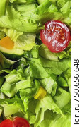 The camera zooms up and reveals a beautiful juicy salad with tomatoes and cucumbers. Стоковое видео, видеограф Ярославский Максим / Фотобанк Лори