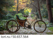 Antique tricycle standing on cobblestone path in autumn park. Стоковое AI-изображение, AI-художник Иван Рябоконь / Фотобанк Лори