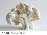 Cauliflower standing up on white background showing its stems and florets. Стоковое AI-изображение, AI-художник Иван Рябоконь / Фотобанк Лори
