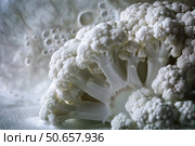 Cauliflower florets emerging from water with bubbles, creating an abstract food concept. Стоковое AI-изображение, AI-художник Иван Рябоконь / Фотобанк Лори