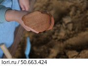 Археологическая находка в руках у ребенка -кусок разбитого глиняного сосуда. Стоковое фото, фотограф Терехова Марина / Фотобанк Лори