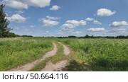 A field road in the countryside on a bright sunny day. Стоковое видео, видеограф Виктор Тихонов / Фотобанк Лори