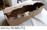 Damaged cardboard box found in living room after delivery mishap. Стоковое AI-изображение, AI-художник Katsiaryna Repich / Фотобанк Лори