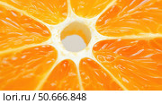 texture orange slice on white ai generated. Стоковое AI-изображение, AI-художник Vectorwin / Фотобанк Лори