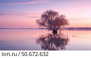 reflection light pink ai generated. Стоковое AI-изображение, AI-художник Vectorwin / Фотобанк Лори