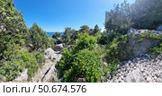 Panoramic view from the southern slope in the Simeiz area, Crimea. In the foreground is a rocky area with large boulders and abundant greenery, including shrubs and junipers. Wild grasses and flowers grow among the rocks. In the background is a dense coniferous forest, beyond which the turquoise expanse of the Black Sea can be seen. On the left is dense vegetation, on the right are massive granite boulders. A bright sunny day, a blue sky without clouds emphasize the wild beauty of the Crimean coast. Стоковое фото, фотограф Анна Кривицкая / Фотобанк Лори