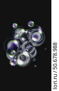 Abstract glitchy bubbles on black background. Vertical video seamless animation loop. Lossless quality. 3D-rendering. Стоковая анимация, аниматор Евгения Шмыкова / Фотобанк Лори
