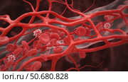 Red blood cells and blood vessels in close-up digital illustration. Стоковое AI-видео, аниматор KATERINA AI / Фотобанк Лори
