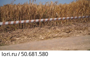 wheat field red and white warning tape swinging in the wind in front of a wheat field. Protection sign. Don't cross the line. Red White caution tape pole fencing is protects for No entry. Стоковое видео, видеограф svetograph / Фотобанк Лори