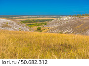 A picturesque view of chalk hills covered with dry steppe vegetation. In the foreground is tall dry grass, typical of the southern Russian steppe. Whitish stripes of chalk and sparse bushes are visible on the slopes of the hills. Below is a green valley with trees, behind it are yellow fields and a village. On the horizon, a forest and a light haze are visible. The bright blue sky without clouds emphasizes the contrast between the hills and the plain. This is probably one of the natural landscapes of the Voronezh region, for example, Divnogorye. Стоковое фото, фотограф Анна Кривицкая / Фотобанк Лори