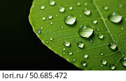 leaf heart water drop ai generated. Стоковое AI-изображение, AI-художник Vectorwin / Фотобанк Лори