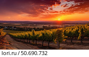 vineyard paso wine ai generated. Стоковое AI-изображение, AI-художник Vectorwin / Фотобанк Лори