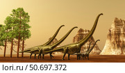 A herd of Mamenchisaurus dinosaurs migrate to better feeding ground. Стоковое фото, фотограф Corey Ford/Stocktrek Images / ТАСС / Фотобанк Лори