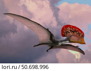 Caupedactylus ybaka, an extinct pterosaur from the Cretaceous Period. Стоковое фото, фотограф Sergey Krasovskiy/Stocktrek Images / ТАСС / Фотобанк Лори