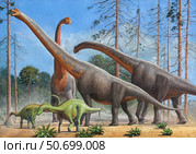 Giraffatitan and Dicraeosaurus dinosaurs grazing in a prehistoric environment. Стоковое фото, фотограф Sergey Krasovskiy/Stocktrek Images / ТАСС / Фотобанк Лори