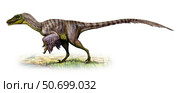 Velociraptor mongoliensis, a prehistoric era dinosaur. Стоковое фото, фотограф Sergey Krasovskiy/Stocktrek Images / ТАСС / Фотобанк Лори