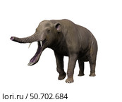 Platybelodon is a large Proboscidea from the Late Miocene epoch. Стоковое фото, фотограф Nobumichi Tamura/Stocktrek Images / ТАСС / Фотобанк Лори