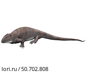 Ophiacodon is an extint synapsid from the Early Permian of New Mexico. Стоковое фото, фотограф Nobumichi Tamura/Stocktrek Images / ТАСС / Фотобанк Лори