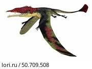 Eudimorphodon pterosaur, side view on white background. Стоковое фото, фотограф Corey Ford/Stocktrek Images / ТАСС / Фотобанк Лори