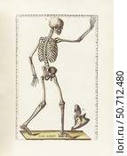 The science of human anatomy by Bartholomeo Eustachi. Стоковое фото, фотограф National Library of Medicine/Stocktrek/Stocktrek Images / ТАСС / Фотобанк Лори
