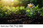 nture planting a flower. Стоковое фото, фотограф Vectorwin / Фотобанк Лори