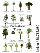 A collection of trees and cycads that lived during prehistoric periods of Earth's history. Стоковое фото, фотограф Corey Ford/Stocktrek Images / ТАСС / Фотобанк Лори