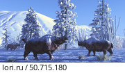 Woolly rhinoceros males keep each other company during a snowy winter in the Pleistocene epoch. Стоковое фото, фотограф Corey Ford/Stocktrek Images / ТАСС / Фотобанк Лори