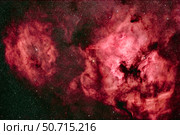 North America Nebula, Pelican Nebula, Clamshell Nebula and nebulosity in Cygnus. Стоковое фото, фотограф Alan Dyer/Stocktrek Images / ТАСС / Фотобанк Лори