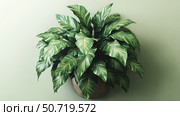 leaf bushy house plant. Стоковое фото, фотограф Vectorwin / Фотобанк Лори