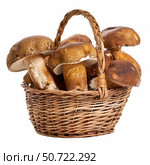 Fresh mushrooms overflowing a rustic woven basket. Стоковое AI-изображение, AI-художник Иван Рябоконь / Фотобанк Лори