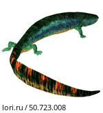 Eogyrinus tetrapod. Стоковое фото, фотограф Corey Ford/Stocktrek Images / ТАСС / Фотобанк Лори