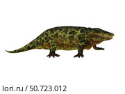 Eryops prehistoric animal from the Permian period. Стоковое фото, фотограф Corey Ford/Stocktrek Images / ТАСС / Фотобанк Лори