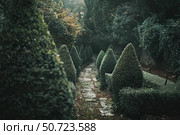 Stone path winding through lush green topiary garden in the fog. Стоковое AI-изображение, AI-художник Иван Рябоконь / Фотобанк Лори