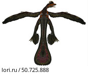 Microraptor was a flying dinosaur that lived during the Cretaceous Period. Стоковое фото, фотограф Corey Ford/Stocktrek Images / ТАСС / Фотобанк Лори