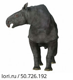 Paraceratherium mammal on white background. Стоковое фото, фотограф Corey Ford/Stocktrek Images / ТАСС / Фотобанк Лори