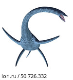 Elasmosaurus plesiosaur, front view on white background. Стоковое фото, фотограф Corey Ford/Stocktrek Images / ТАСС / Фотобанк Лори