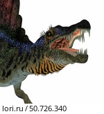 Spinosaurus dinosaur roaring. Стоковое фото, фотограф Corey Ford/Stocktrek Images / ТАСС / Фотобанк Лори