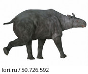 Paraceratherium mammal, side profile. Стоковое фото, фотограф Corey Ford/Stocktrek Images / ТАСС / Фотобанк Лори