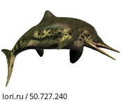 Stenopterygius was an ichthyosaur from the Jurassic Period Corey Ford/Stocktrek Images. Стоковое фото, агентство ТАСС / Фотобанк Лори