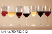 flute types of wine glasses. Стоковое фото, фотограф Vectorwin / Фотобанк Лори