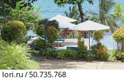 Tropical plants surround lounge chairs with umbrellas beside a swimming pool, offering a amazing view of the ocean and palm trees. Tropical paradise, natural beauty and luxurious relaxation vacation. Стоковое видео, видеограф Ирина Михайличенко / Фотобанк Лори