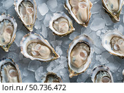 Fresh oysters resting on a bed of ice, ready for consumption. Стоковое AI-изображение, AI-художник Иван Рябоконь / Фотобанк Лори