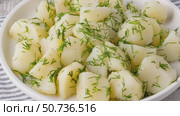 Freshly cooked potatoes garnished with dill on a white plate in a cozy kitchen setting. Стоковое видео, видеограф Наталия Попова / Фотобанк Лори