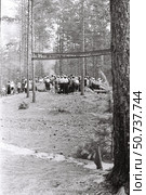 Группа людей в палаточном лагере в сосновом лесу. Стоковое фото, фотограф Retro / Фотобанк Лори